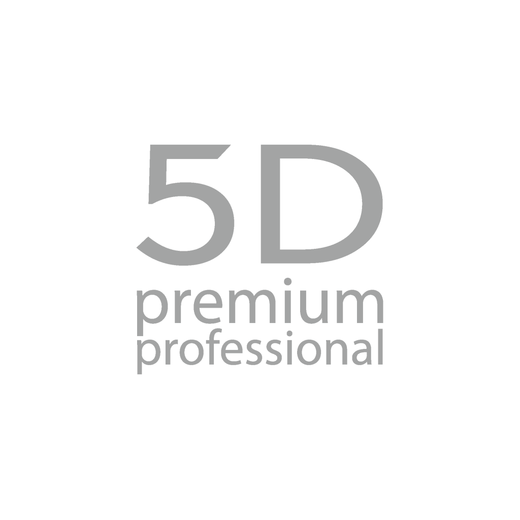 5D PP_лого.png